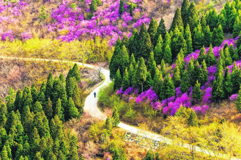 Springtime in South Korea