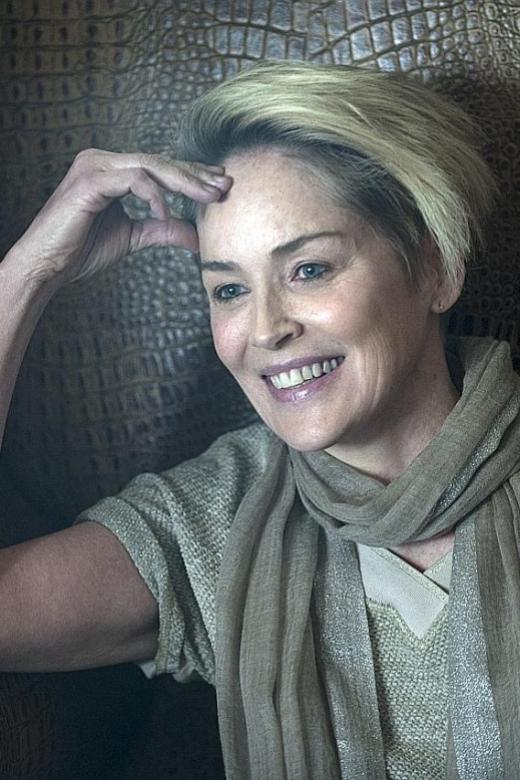 Sharon Stone shines again in new TV series after stroke struggle