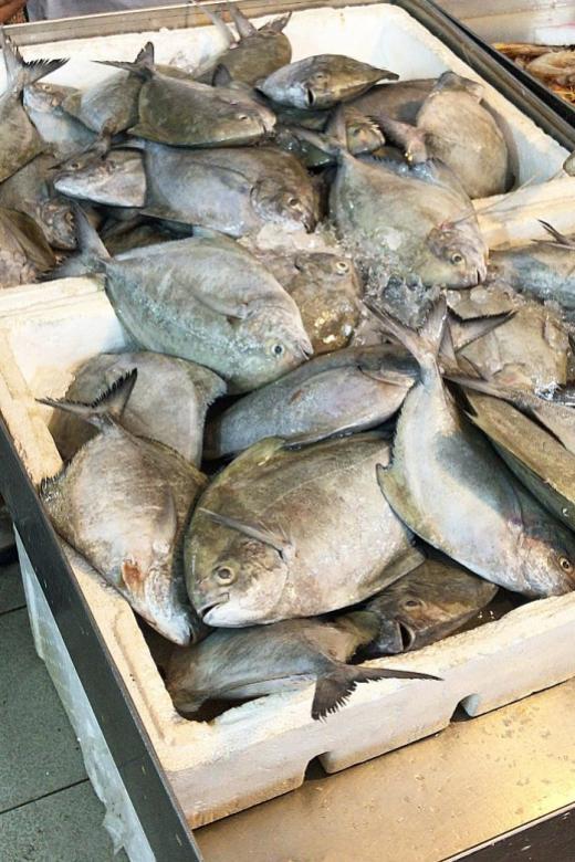 Businesses to be hit by Malaysia&#039;s fish ban