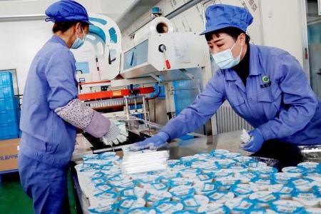Singapore to lift melamine-related requirements for importing milk products from China  