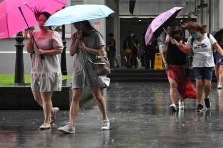 Wet weather to continue for first half of March