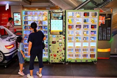 Got green fingers? Head down to a vending machine and pick a plant