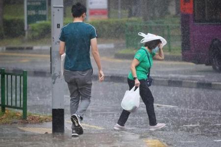 Bring your brolly as afternoon showers expected in first two weeks of November
