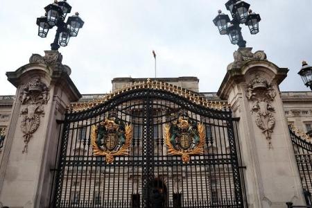 Man arrested for crashing car into Buckingham Palace gates