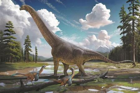 90m-year-old fossils in China are of undiscovered dinosaur