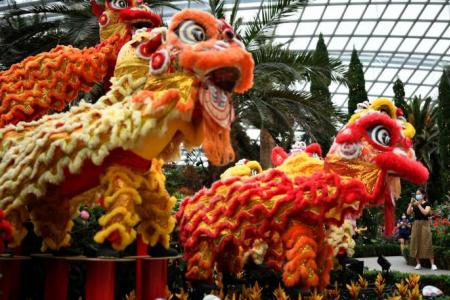 Lion dance with cai qing not allowed in condominiums during Chinese New Year