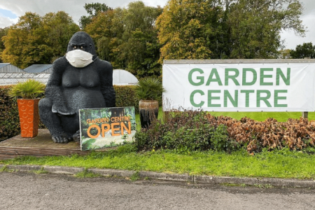 Going ape over stolen gorilla statue: Owner in Scotland uses social media to ‘Bring Gary Home’ 