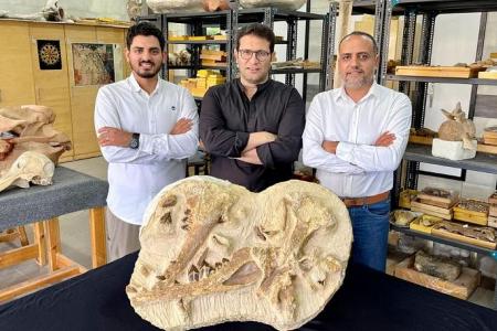 Egypt dig unearths 41-million-year-old whale in desert