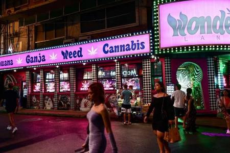 Thailand to ban recreational cannabis use by end-2024
