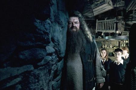 Harry Potter’s Hagrid actor Robbie Coltrane dies at 72