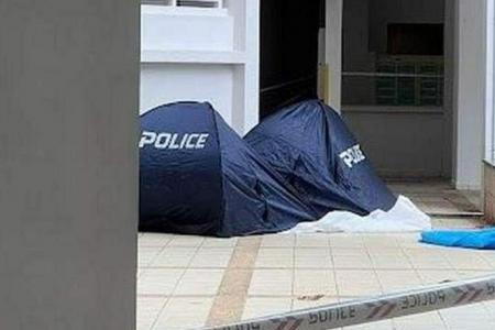Woman and baby found dead at foot of Eunos flat 