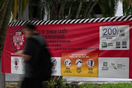 Increase in dengue cases noted after resurgence of previously dominant dengue virus strain