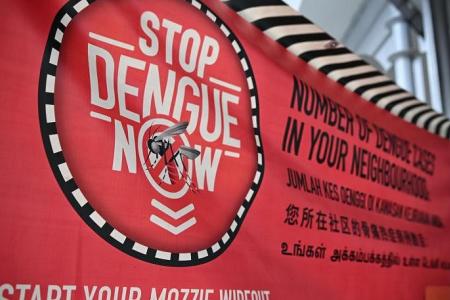 3 reported dengue deaths in Q4 2023; infections rise for 7th straight week