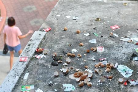 Flat owners to be presumed guilty of high-rise littering unless proven otherwise under proposed law