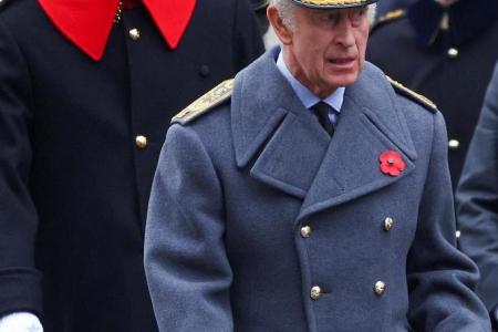 Father and wife's illnesses focus attention on future king, Prince William