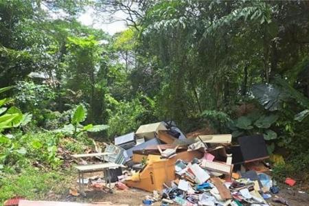 $8,000 fine for man who illegally dumped furniture off Lornie Highway