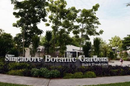 Police warn public against gathering at Botanic Gardens amid call to protest