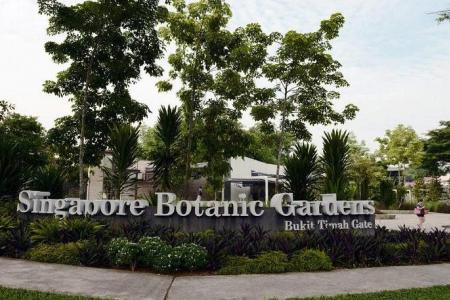 Man claims to be from PA, asks for photo of woman’s foot at Botanic Gardens