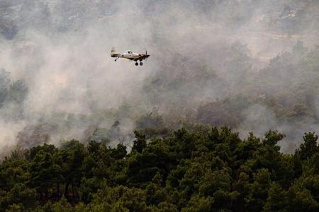 Greece, California battle fierce wildfires amid heatwaves