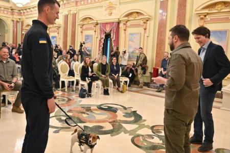 Ukraine's mine sniffing dog Patron awarded medal by Zelensky