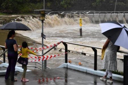 Sydney told to brace for heavy rains, floods in 'one in a thousand years' event