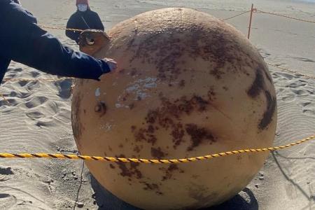Godzilla egg? Dragon Ball?: Mysterious sphere washed up on Japan beach 