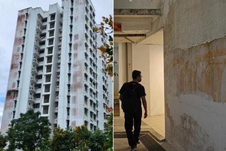 HDB to commission study to look into mould issues of Sengkang, Punggol flats 