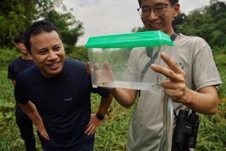 Clementi Forest nature trail to be enhanced, public helps with nature survey