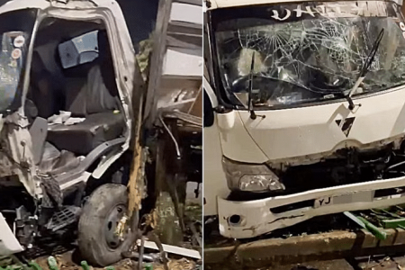 Jail for man who drove lorry into tree, killing 2 passengers