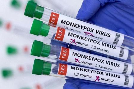 Should Singaporeans worry about monkeypox?