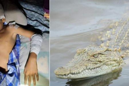 9-year-old boy in Malaysia fights off croc who attacked him on his swim home 