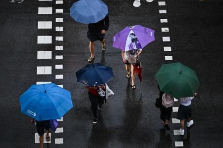 Wet and cold weather expected to continue until end of January