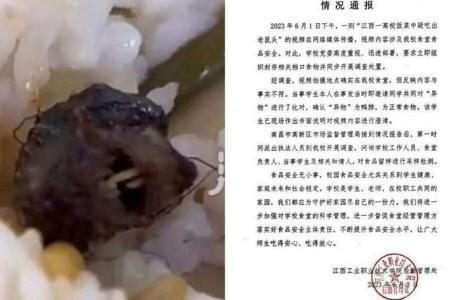 Rat or duck? Foreign object found in a student’s meal in China