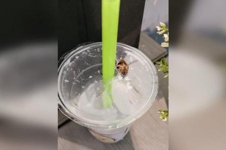 Woman horrified to find cockroach in Mr Bean drink