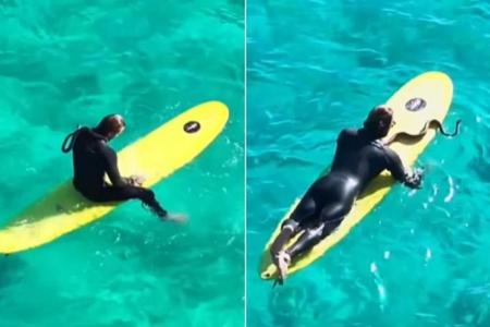 Snake no mistake: Australian fined for surfing with python