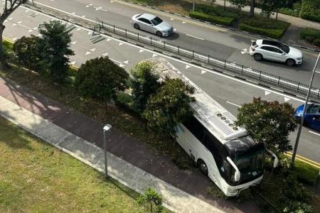 Man arrested for suspected drink driving after bus crashes through road divider, hits tree in Bedok 