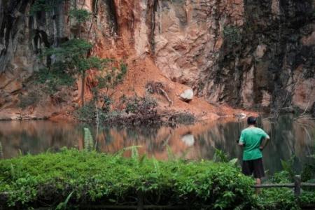 Mudslides off Bukit Batok Nature Park cliff ongoing for 2 months: Residents