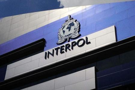 Syndicates luring thousands with fake jobs, warns Interpol