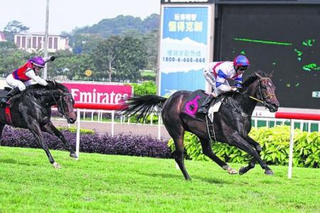 TOMORROW'S SINGAPORE (POLYTRACK) RACE CARD IT COULD BE A THUMPING GOOD SUNDAY