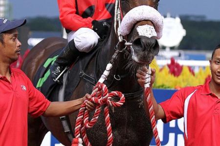 Vorster happy to get the ride on Faaltless