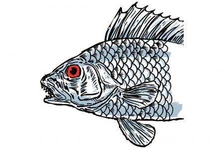 Bigger fish unveiled in kelong e-book