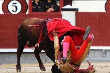 Bullfight called off after three matadors gored 
