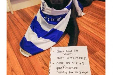 Dog eats QPR fan's tickets, but he gets new ones thanks to...