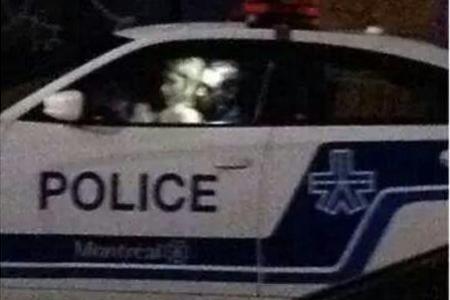 Policeman caught having sex in cop car