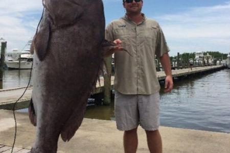 What a whopper! US man catches 135kg fish