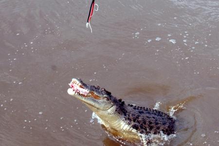 Man snatched off his boat by crocodile