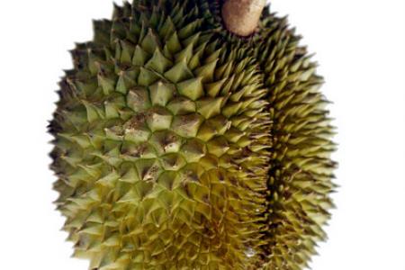 Woman injures another with durian shell