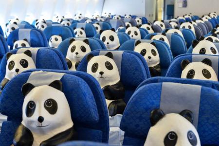 Panda-monium! 1,600 panda bears invade Hong Kong airport