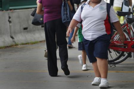 Single parents raise fatter children?