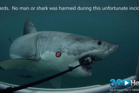 Shark attacks special 360-degree camera